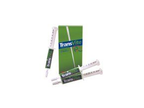 Transvite Excel Paste
