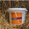 Copper Trition