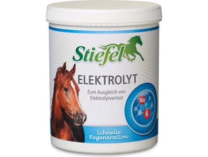 stiefel elektrolyt equiwear