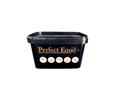 perfect equi complete plus equiwear