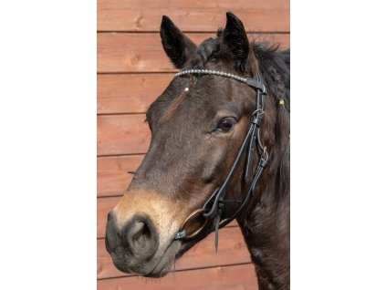 Westernová uzdečka s lávovým kamenem 1