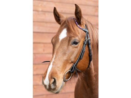 Westernová uzdečka s ledovým achátem 1