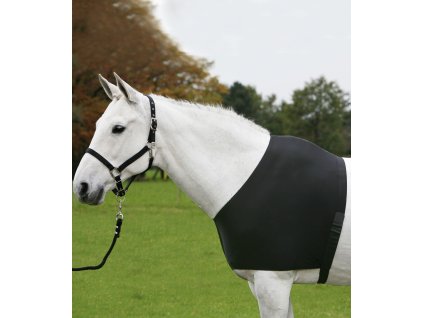 Vesta Comfort Waldhausen, černá (Velikost L, Barva black)