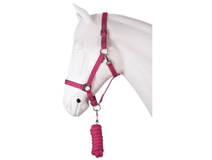 Ohlávka s vodítkem Horka