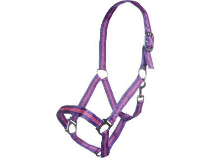 Ohlávka -Budapest- purple/pink HKM