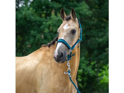 Ohlávka s vodítkem Classic Delight Horka