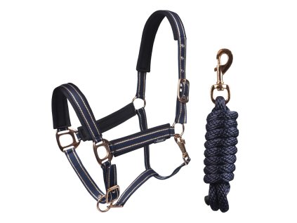 Ohlávka s vodítkem Deluxe Horka