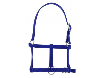 RIDING WORLD hříběcí ohlávka - středně modrá