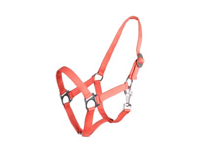 Ohlávka Hot Orange QHP