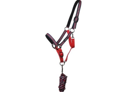 Ohlávka s vodítkem QHP Minishetty