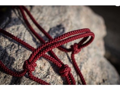 Provazová ohlávka Vínová - Pony