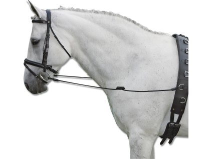 11565 bocni oteze elasticke