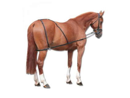 Kombinovaný postroj