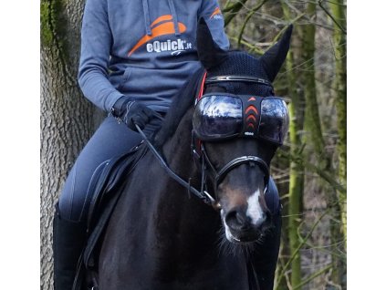 Ochrana očí, brýle pro koně Equick eVysor