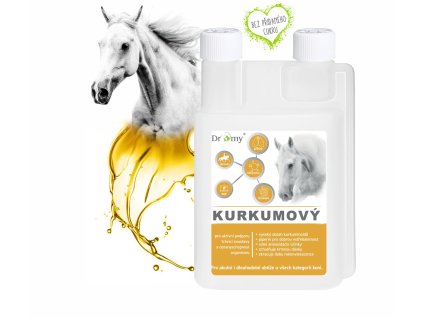 Dromy Kurkumový sirup 1l
