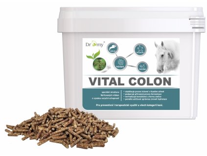 Vital Colon 3,3kg Dromy