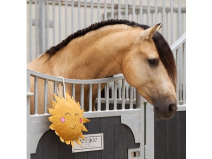 Hračka pro koně Sluníčko Imperial Riding