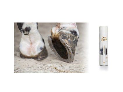 Borovicový dehet Rapide Hooftar Spray, 300ml