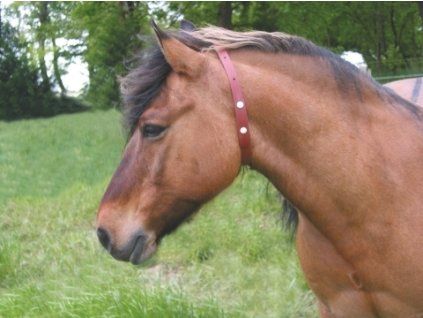 Repelentní obojek pro koně