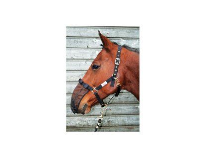 Síťka na nos koně NORTON, černá full