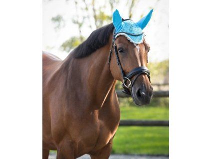 Čabraka QHP Color Sky - Pony