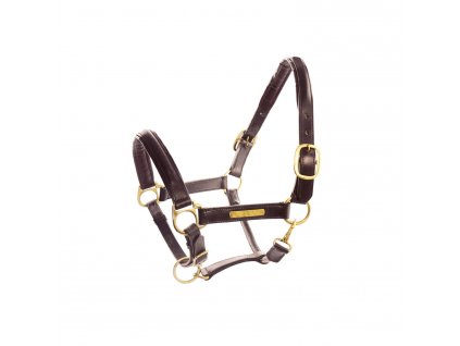 0038812 leather halter with brass nameplates ca00061