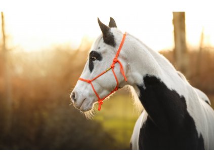 Equiwest 9 plna╠ü kvalita