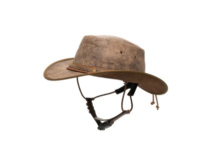 springbrook lightbrown 1