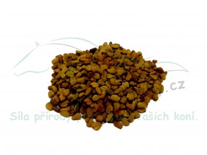 VÝPRODEJ Pískavice řecké seno (plod) - Trigonella foenum-graecum L. 1kg