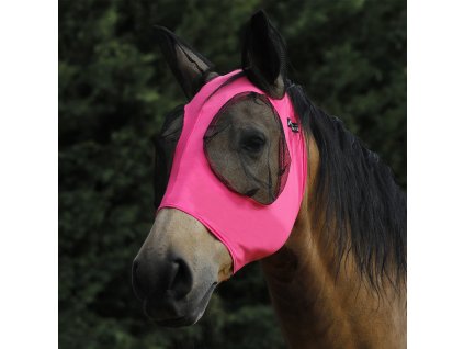 AG00194 HPINK 1