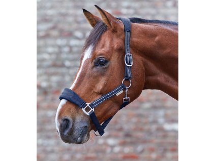 Ohlávka Alcantara - více barev