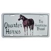 Qarter horse cedulka