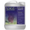 Brandon® plus gastro balsam 2,5l