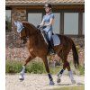 Čabraka proti hmyzu Rimini (Velikost FULL, Barva black)
