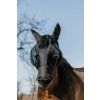 Maska proti hmyzu Equitheme - Lycra - UV maska