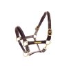 0038812 leather halter with brass nameplates ca00061