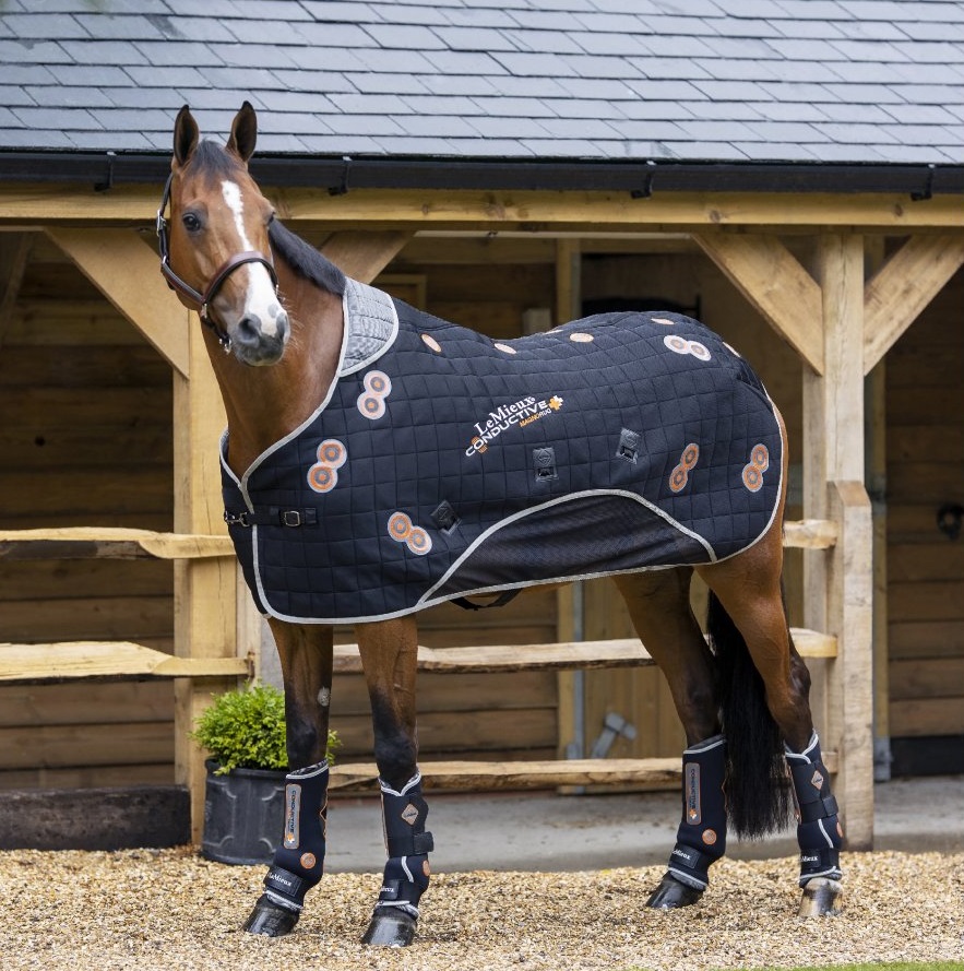 Magnetická terapie pro koně: kdy dává smysl