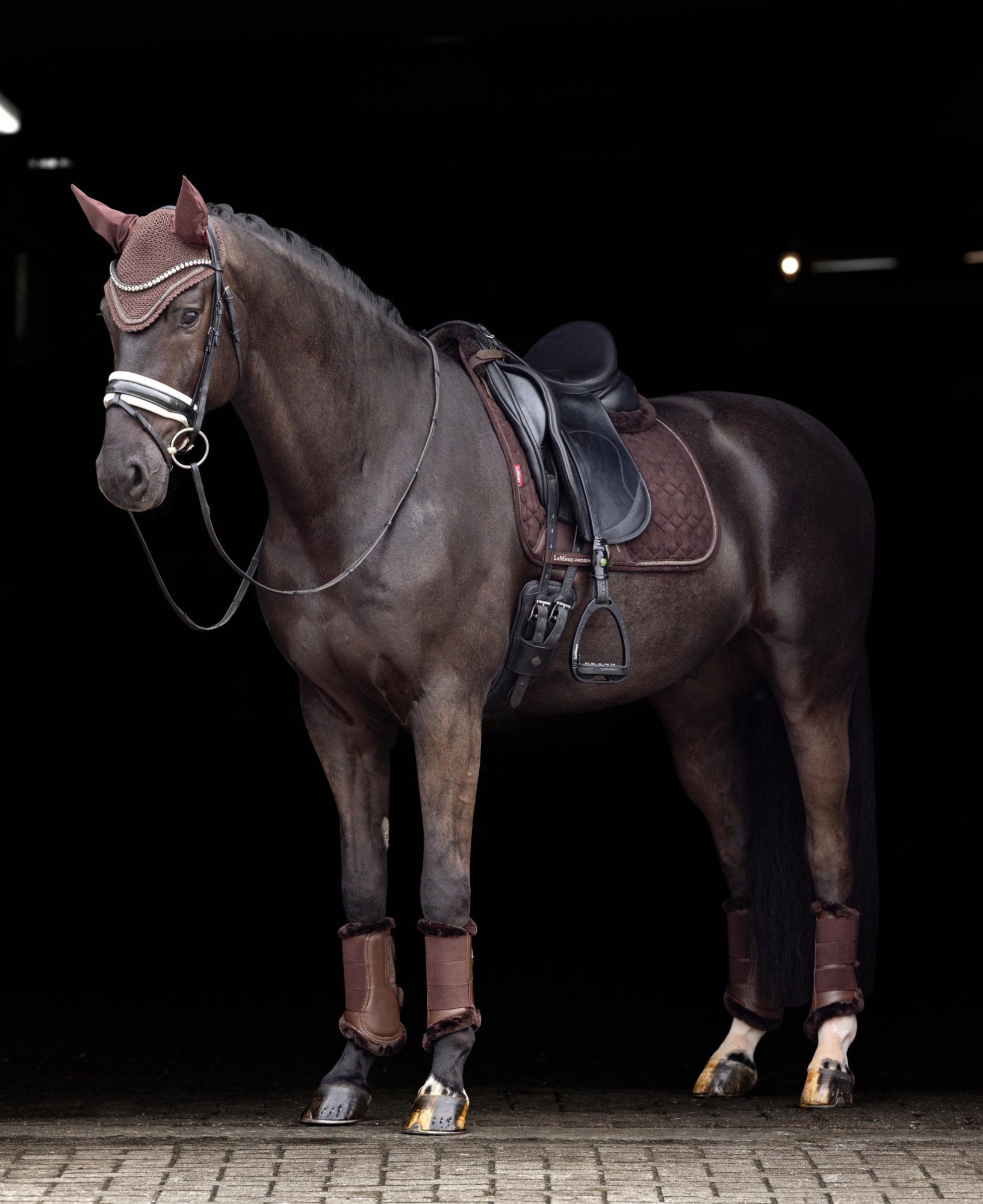 Proč je správný podbřišník klíčem k pohodlí koně?