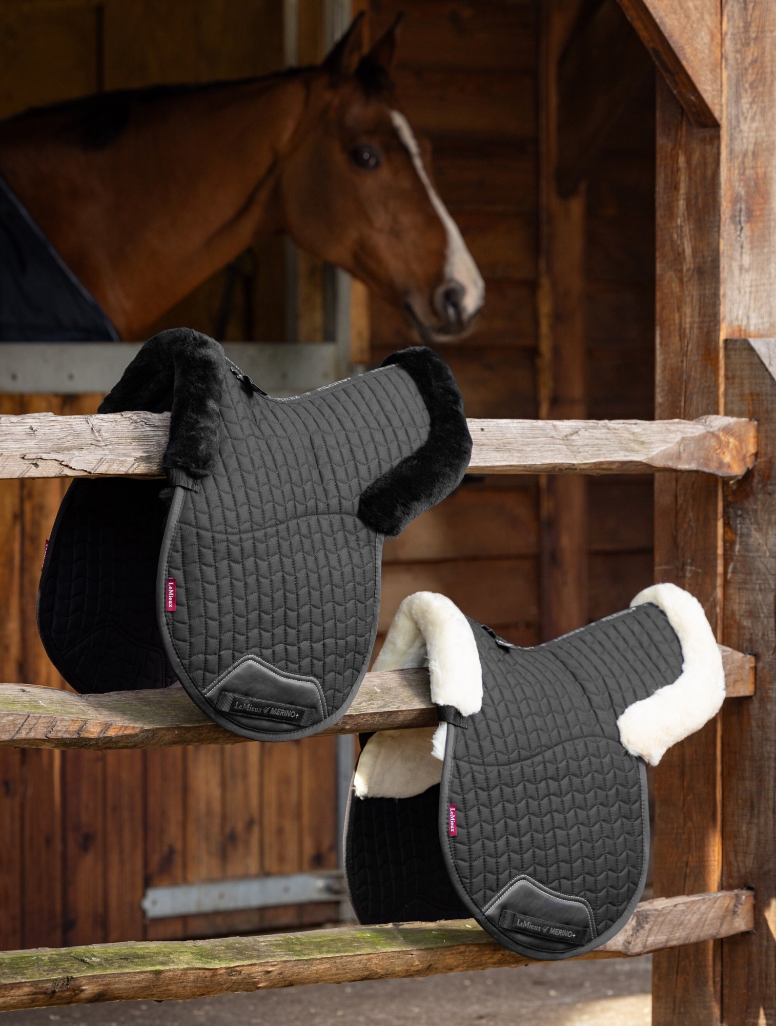 Beránkové vybavení pro koně