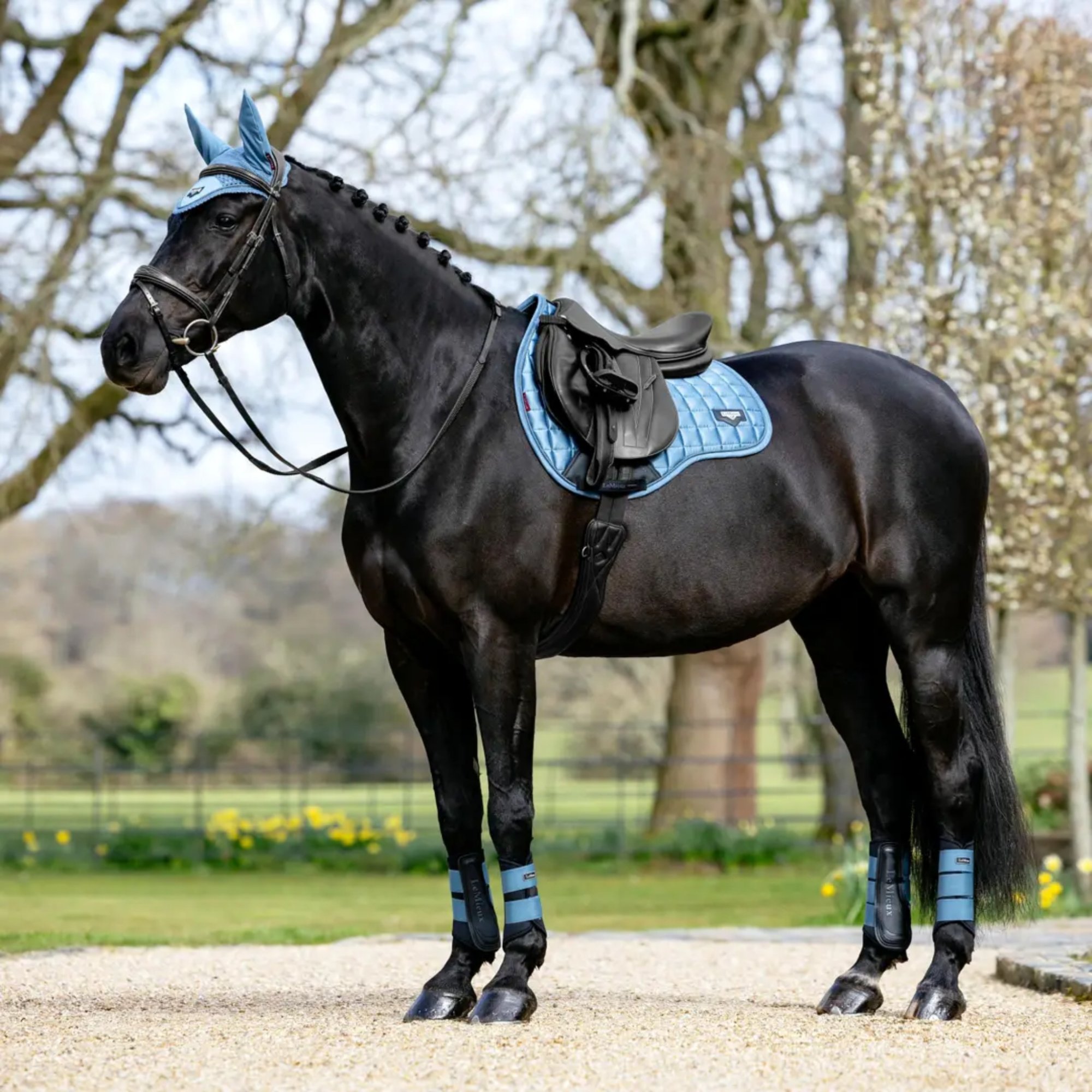 Jarní restart koně: Kompletní průvodce výbavou, péčí a kondicí před sezónou