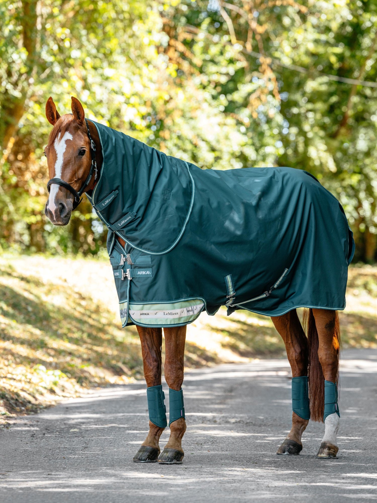 Výběhové deky na jarní období: jak vybrat správnou deku pro koně na proměnlivé počasí