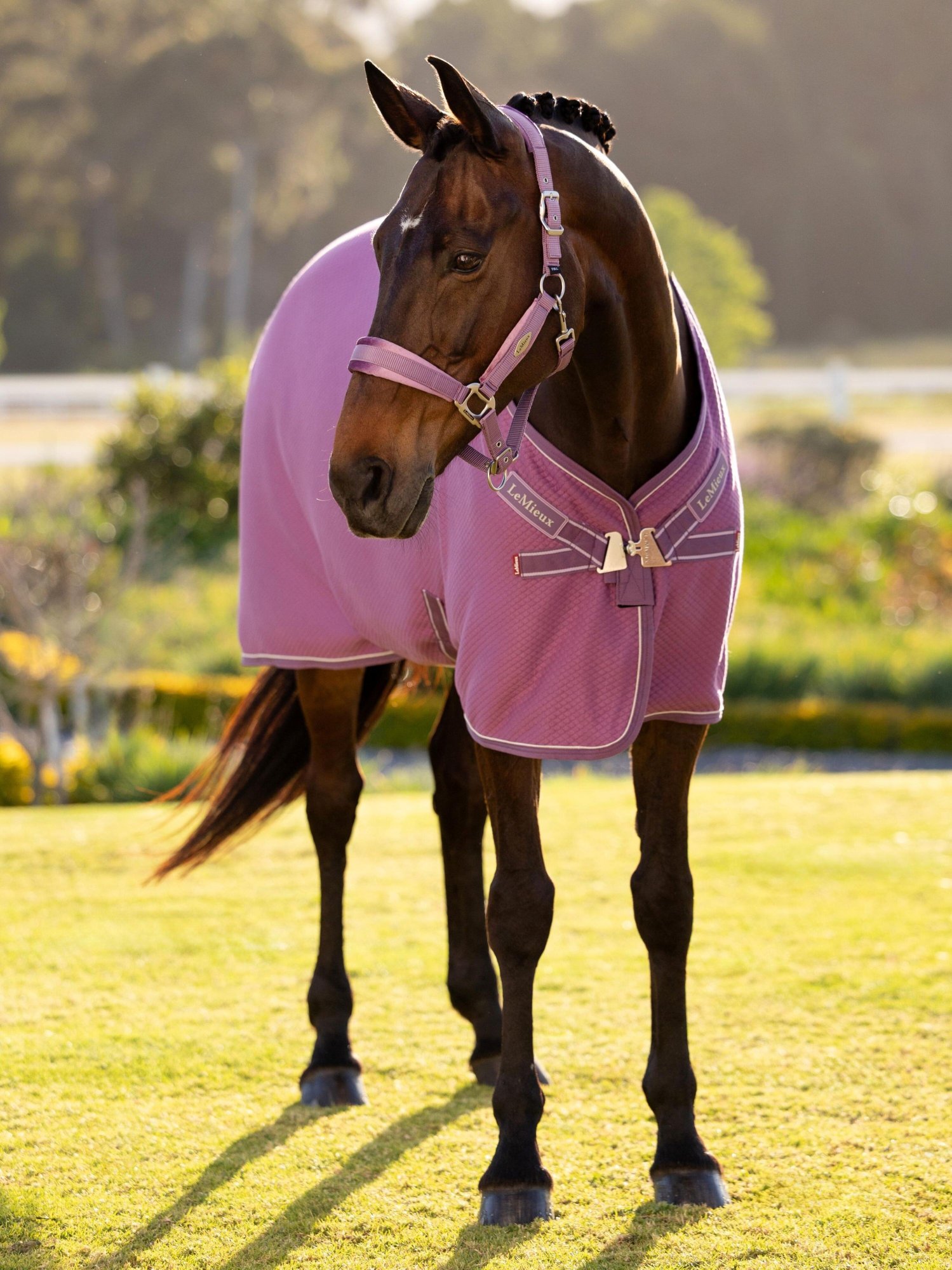 Jak bezpečně přejít na jarní pastvu