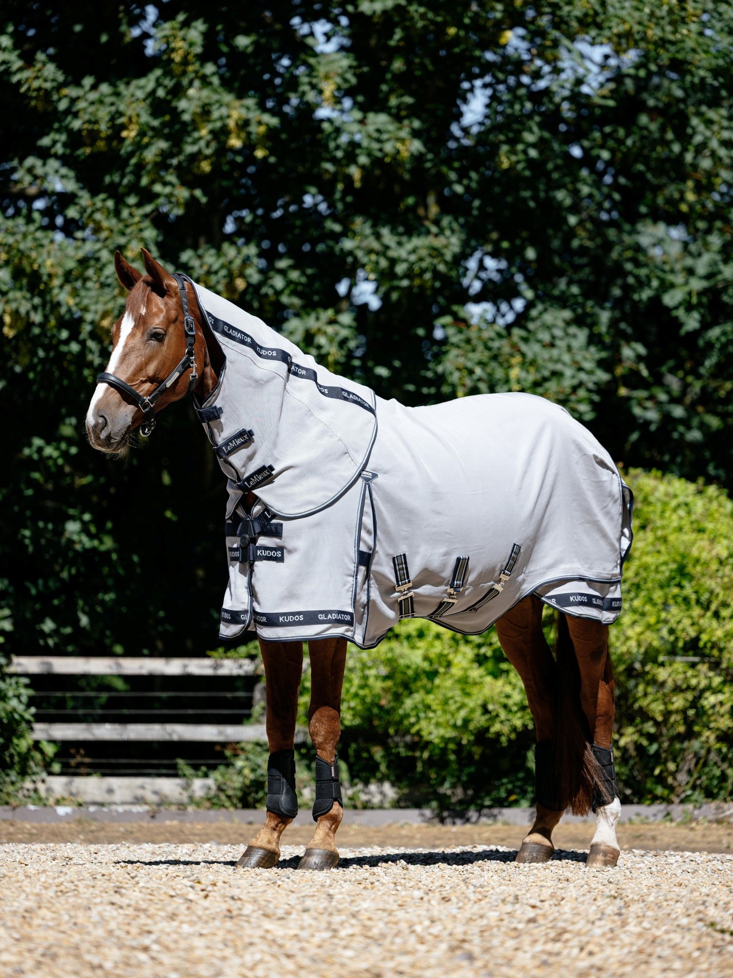 Síťové deky proti hmyzu: Jak ochránit koně před obtěžujícím hmyzem