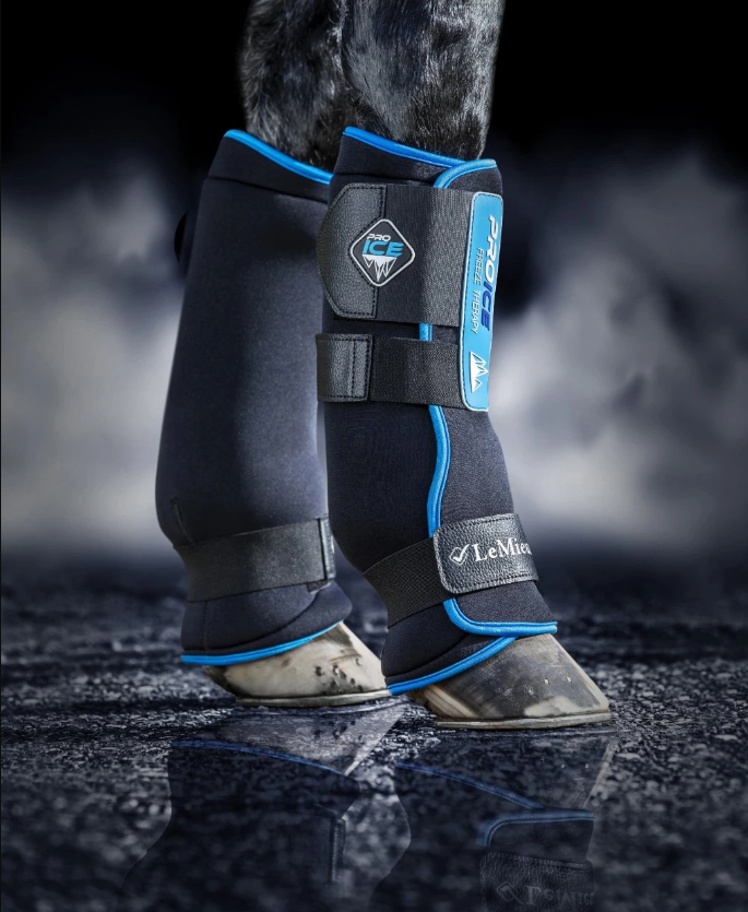 Chladicí boty pro koně: vše, co potřebujete vědět o ice boots
