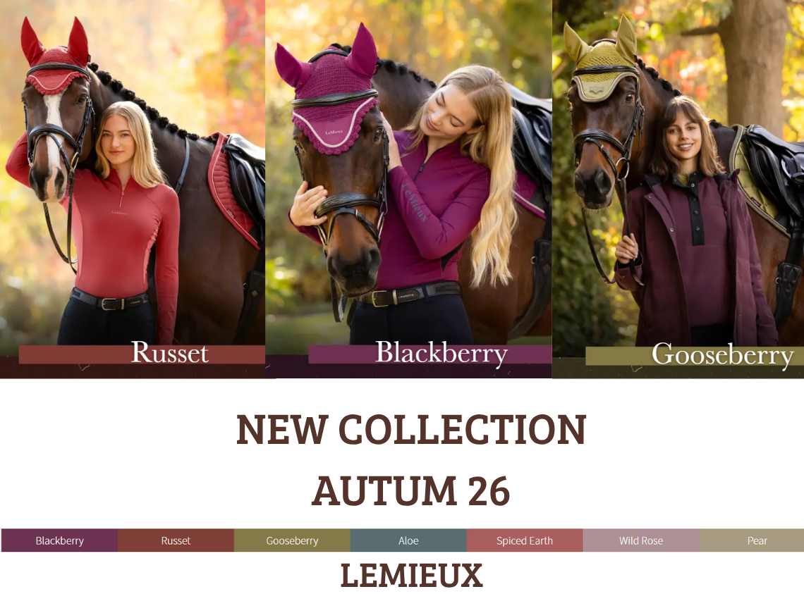 New Collection