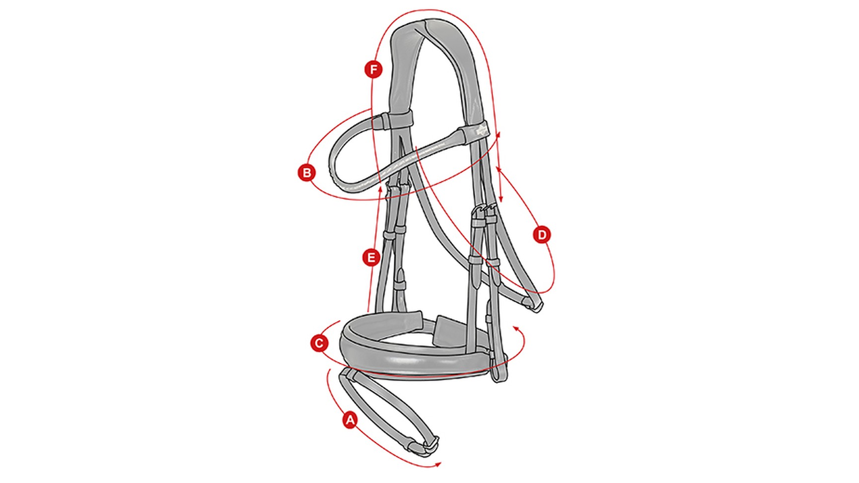 DressageBridle_Size