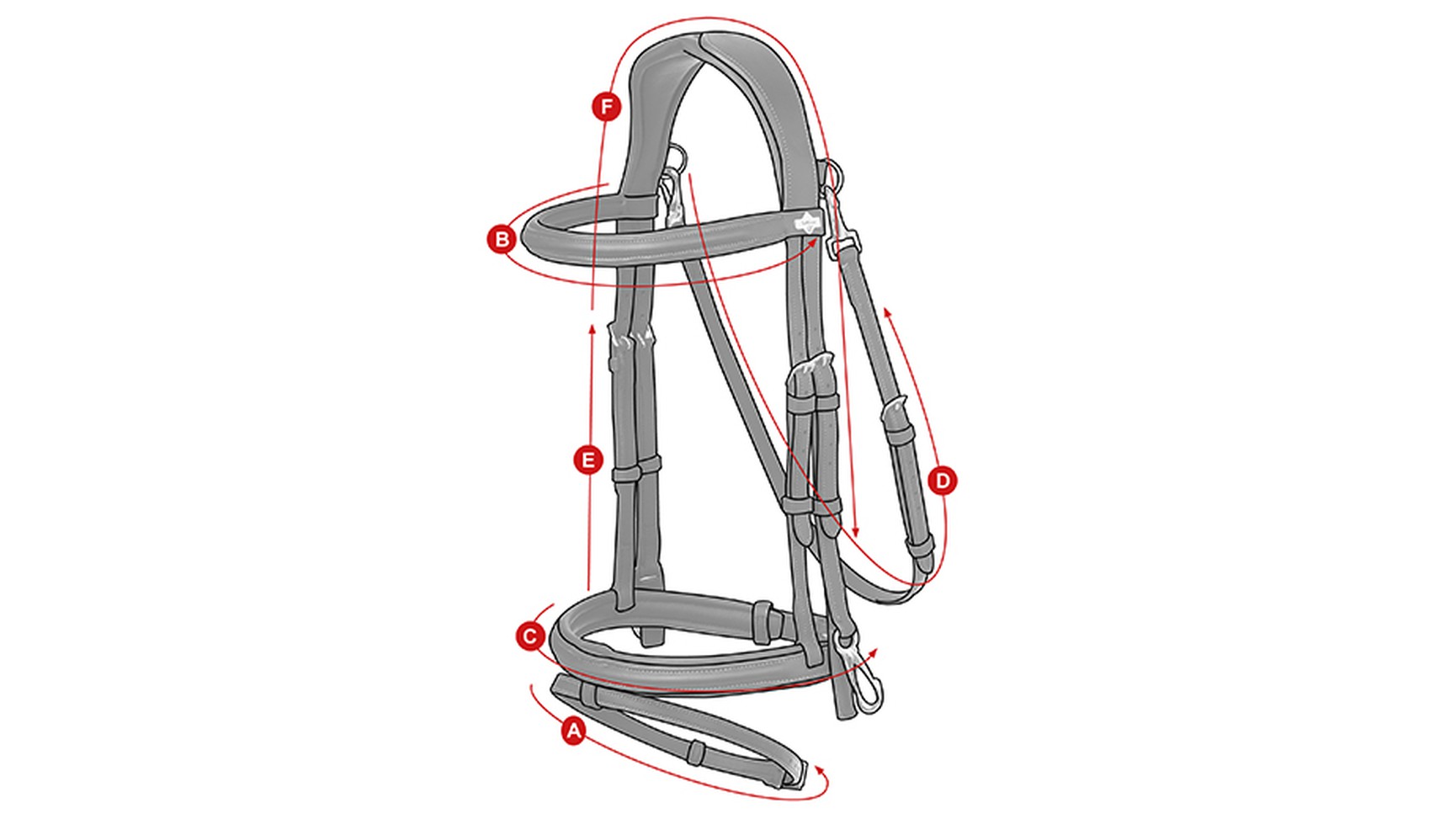 WorkBridle_Size