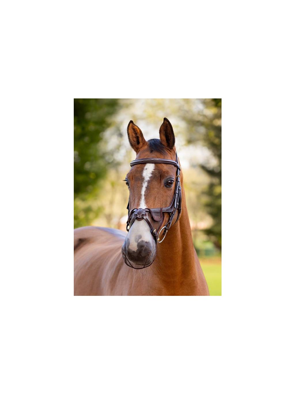 it04790 lifestyle comfortshieldgracklenosefilter brown 1