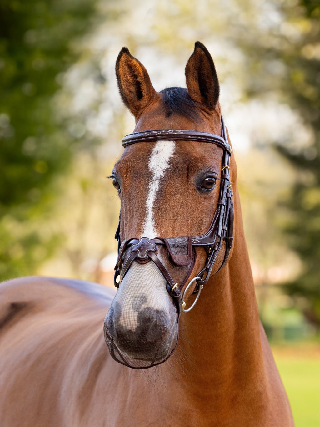 it04790 lifestyle comfortshieldgracklenosefilter brown 1