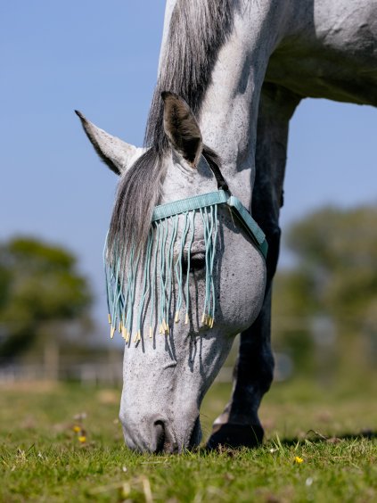 it06873 lifestyle flyfringe aqua 1